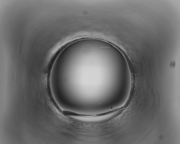 X0000094341503200711091416