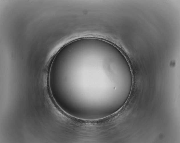 X0000094341504200711091416