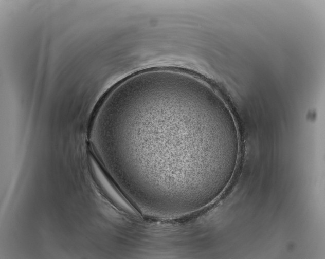X0000094341505200711091416
