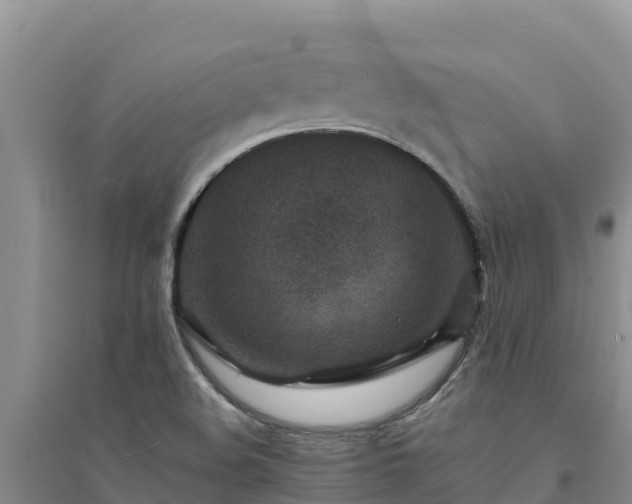 X0000094341508200711091417
