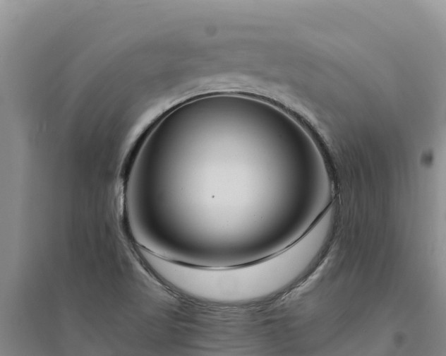 X0000094341509200711091417