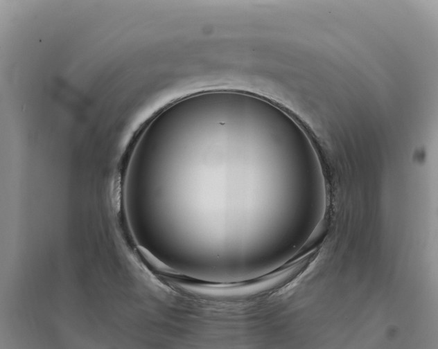 X0000094341510200711091417