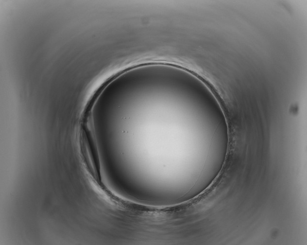 X0000094341511200711091417