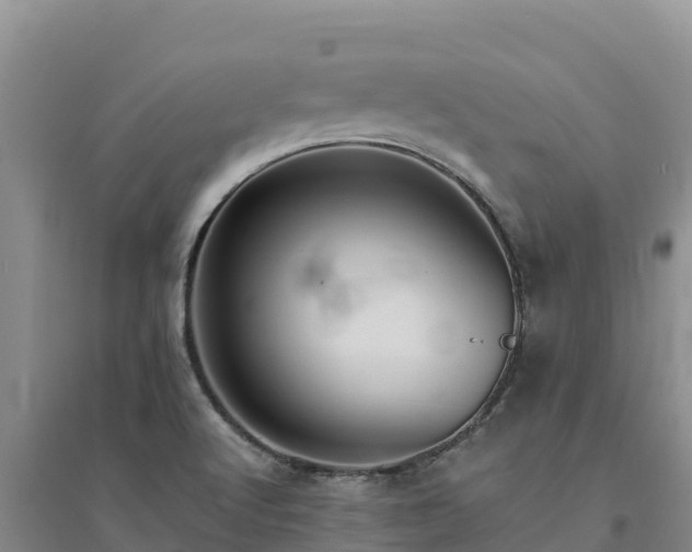 X0000094341512200711091417