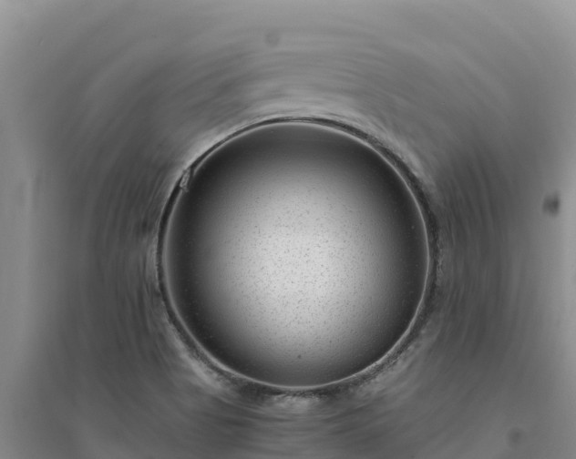 X0000094341513200711091417