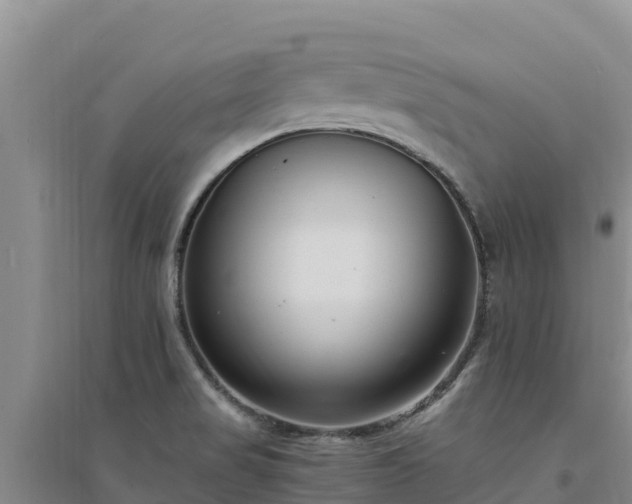 X0000094341517200711091417