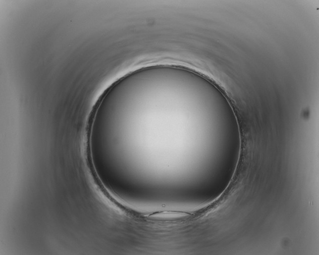 X0000094341518200711091417