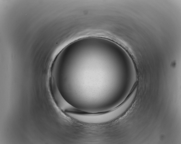 X0000094341520200711091417