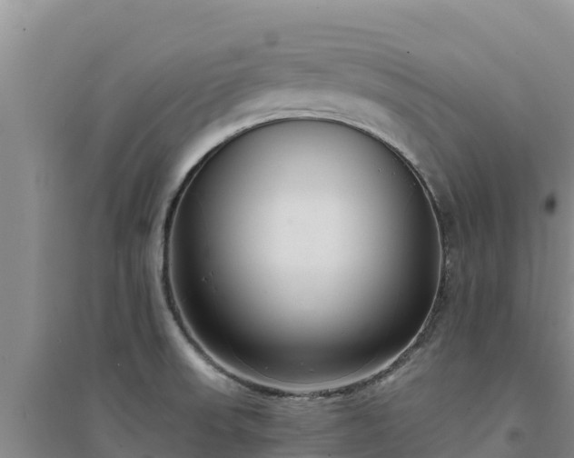 X0000094341523200711091417
