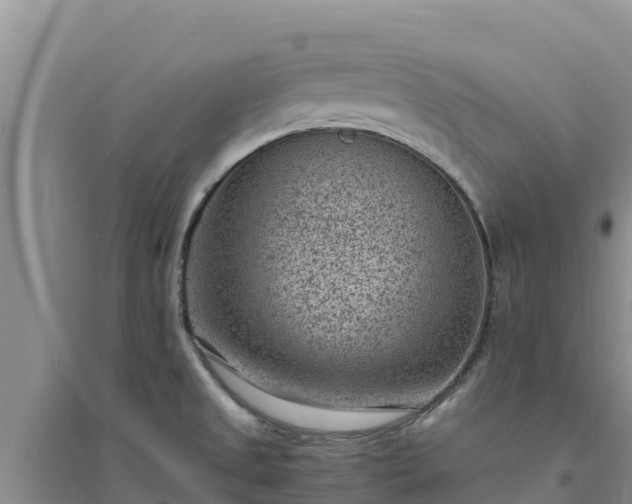 X0000094341525200711091417