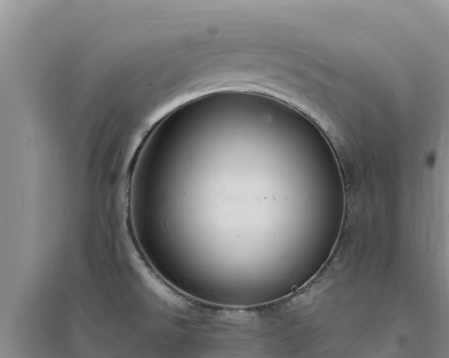 X0000094341526200711091417