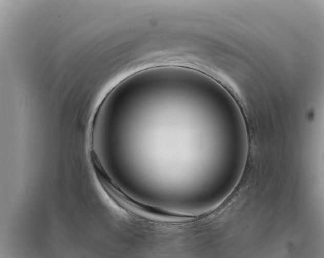 X0000094341528200711091417