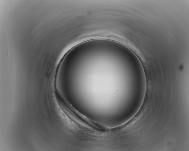 X0000094341530200711091417