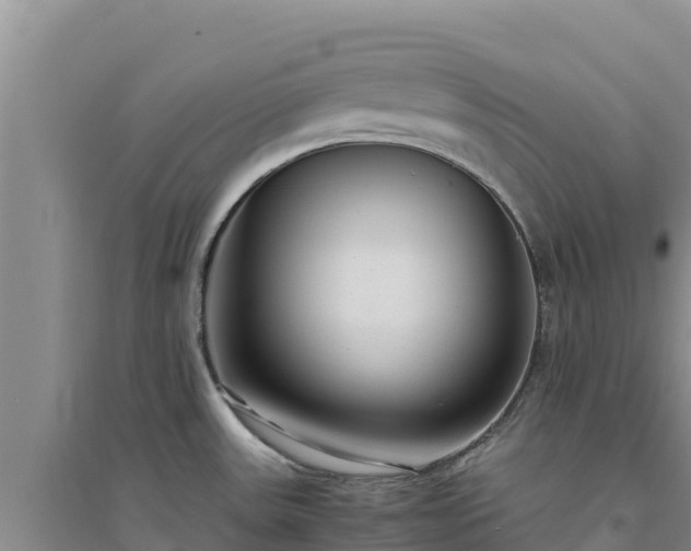 X0000094341531200711091417