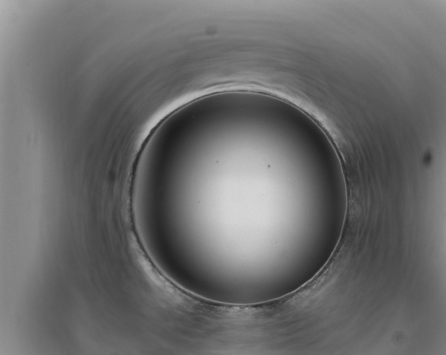 X0000094341534200711091417