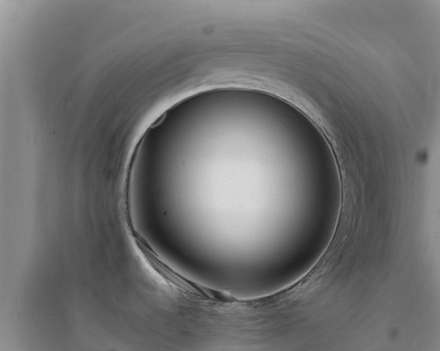 X0000094341536200711091417