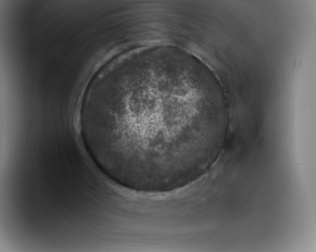 X0000094340002200711162019