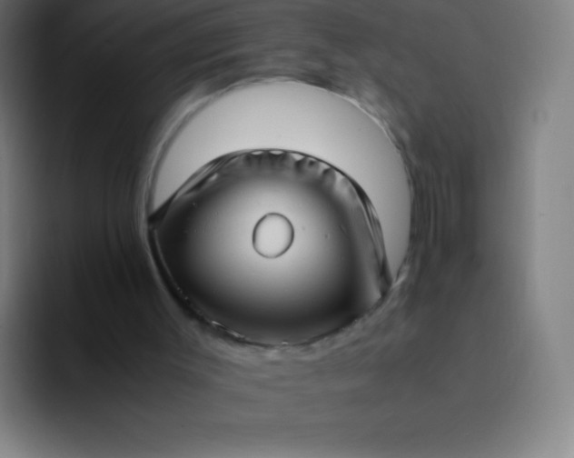 X0000094340003200711162019