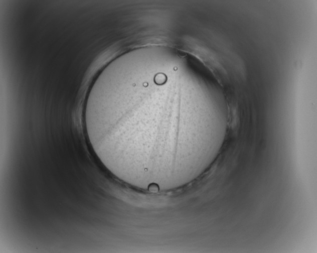 X0000094340004200711162019