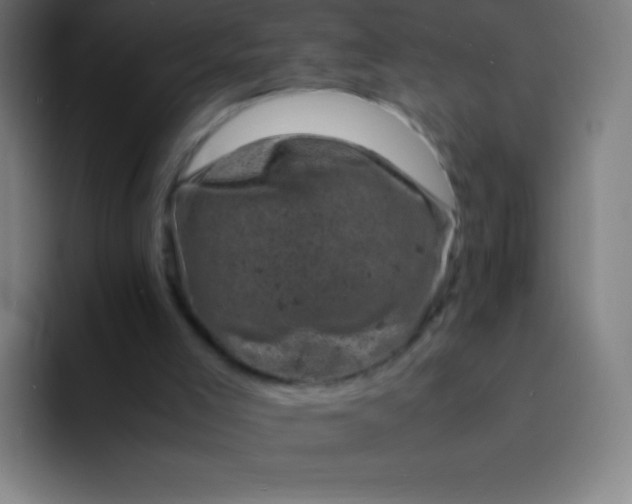 X0000094340005200711162019