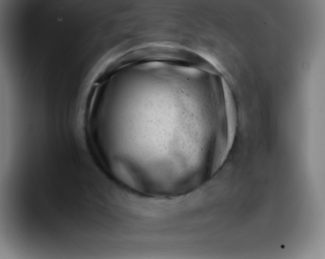 X0000094340007200711162019