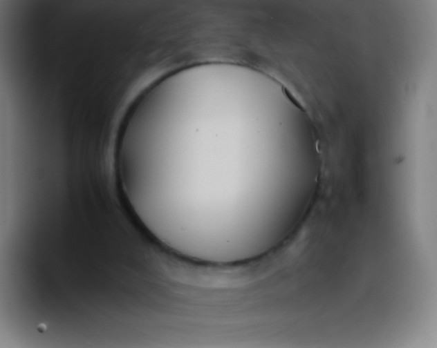 X0000094340008200711162019