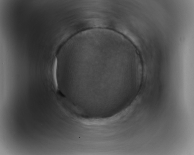 X0000094340009200711162019