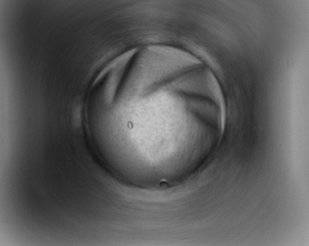 X0000094340010200711162019