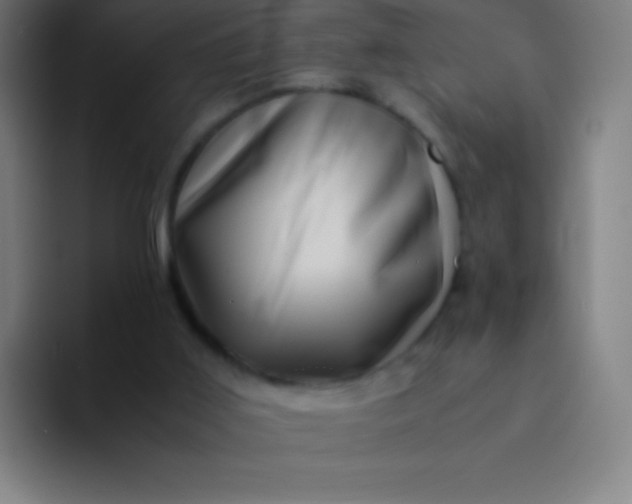 X0000094340011200711162019