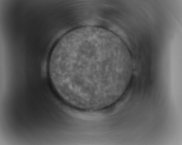 X0000094340012200711162019