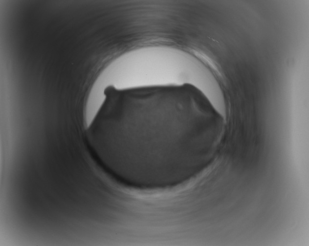 X0000094340013200711162019