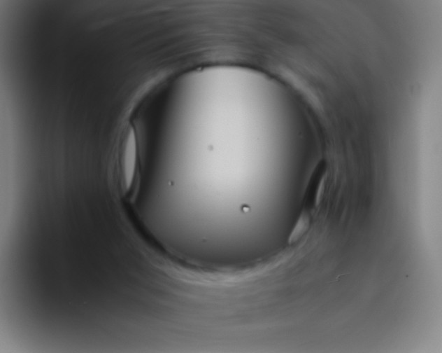 X0000094340015200711162019