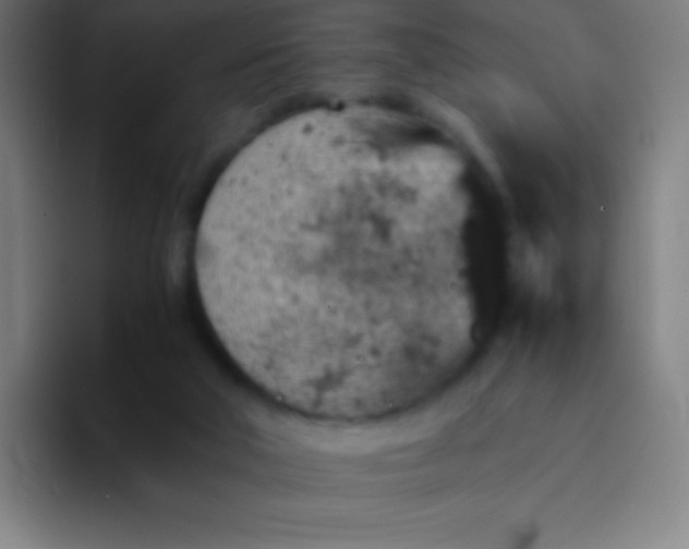 X0000094340018200711162019