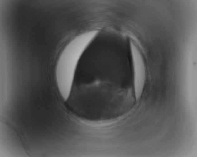 X0000094340019200711162019