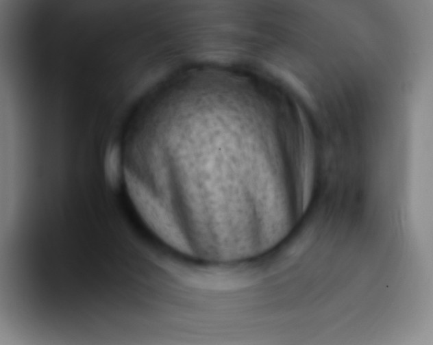 X0000094340020200711162019