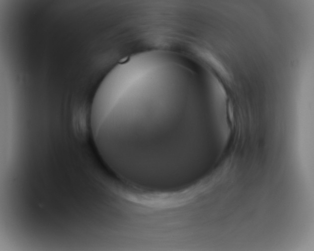 X0000094340023200711162019