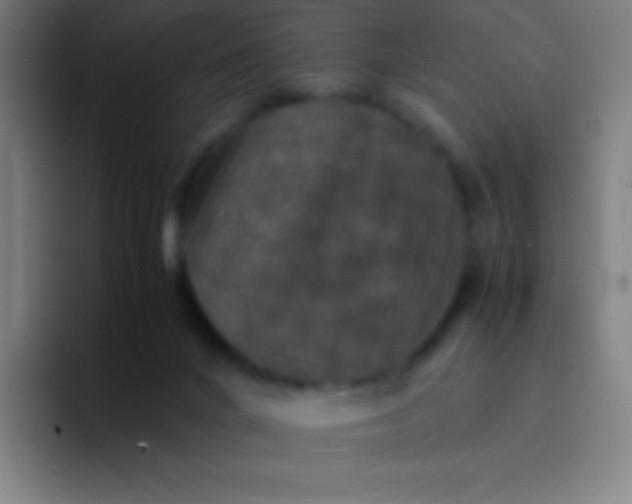 X0000094340024200711162019