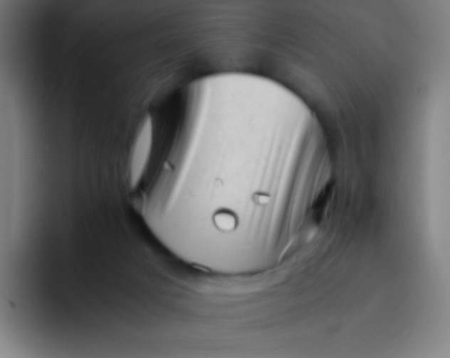 X0000094340025200711162019