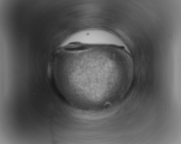 X0000094340026200711162019