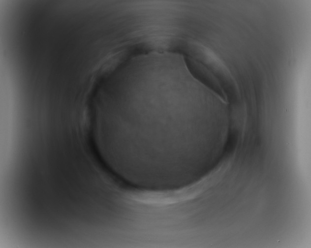 X0000094340029200711162019