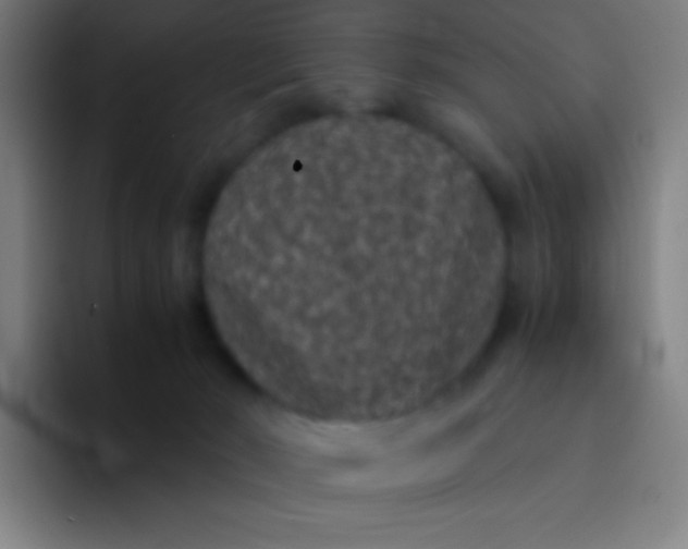 X0000094340030200711162019