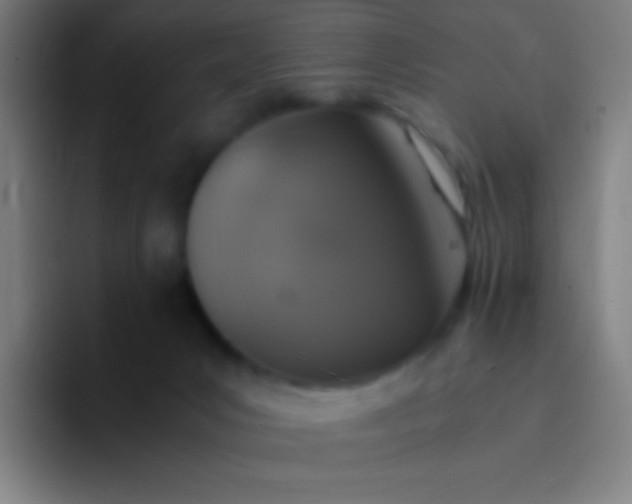 X0000094340031200711162019