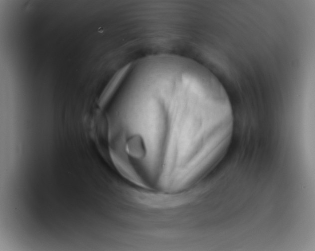 X0000094340034200711162019