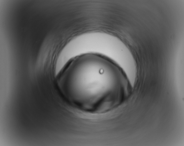 X0000094340039200711162018