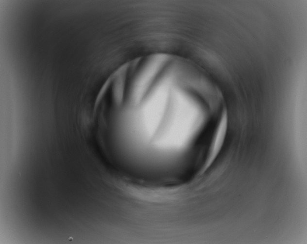 X0000094340040200711162018