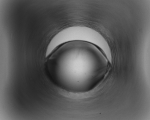 X0000094340043200711162018