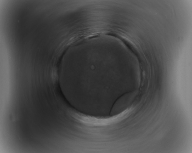 X0000094340048200711162018