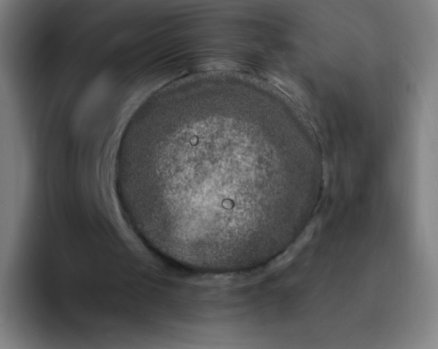 X0000094340049200711162018