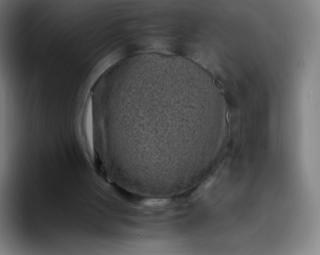 X0000094340051200711162018