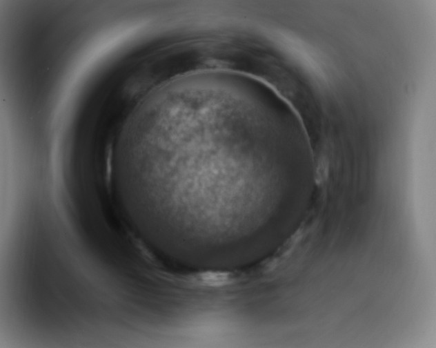 X0000094340052200711162018